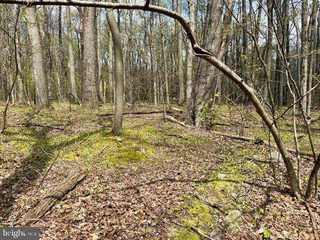 Lot 13 Timerman Road Claysburg, PA 16625 - Photo 7 of 11