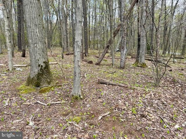 Lot 13 Timerman Road Claysburg, PA 16625 - Photo 8 of 11