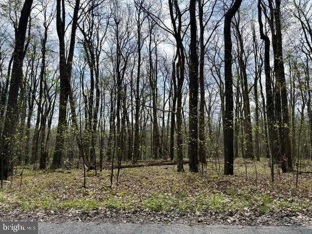 Lot 13 Timerman Road Claysburg, PA 16625 - Photo 9 of 11