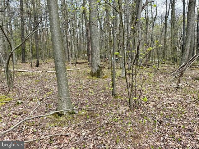 Lot 13 Timerman Road Claysburg, PA 16625 - Photo 10 of 11