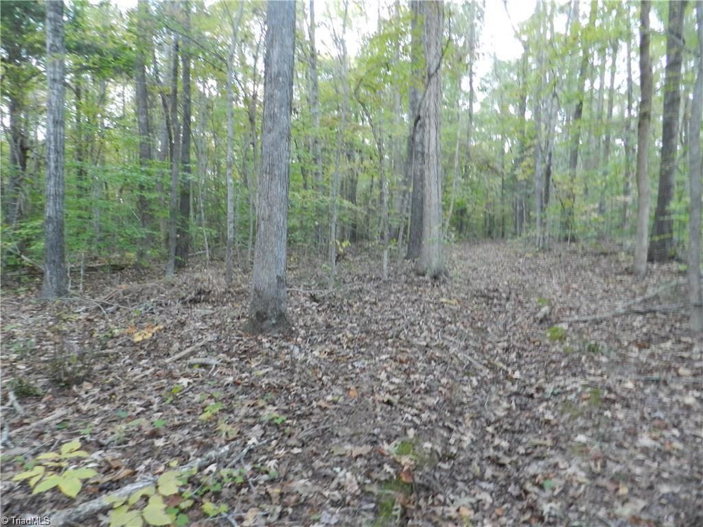 4064 Level Plains Road Sophia, NC 27350 - Photo 11 of 23 Gallery Image 11