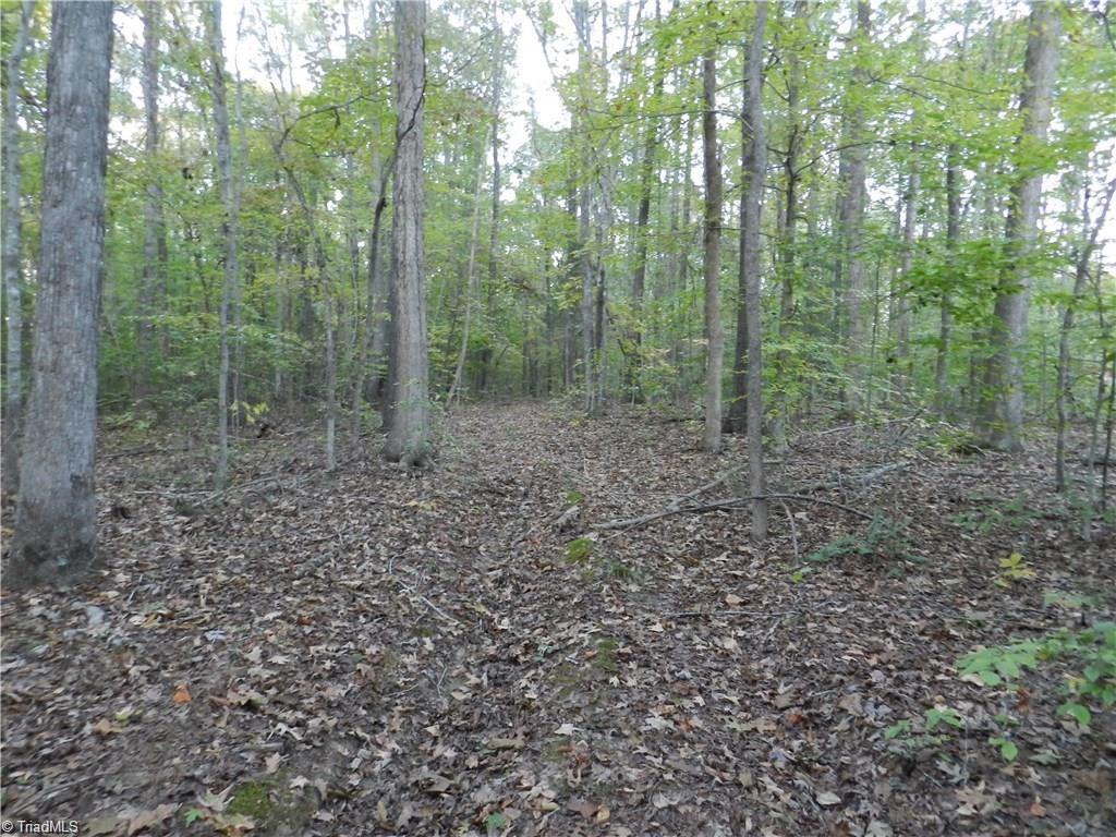 4064 Level Plains Road Sophia, NC 27350 - Photo 12 of 23 Gallery Image 12