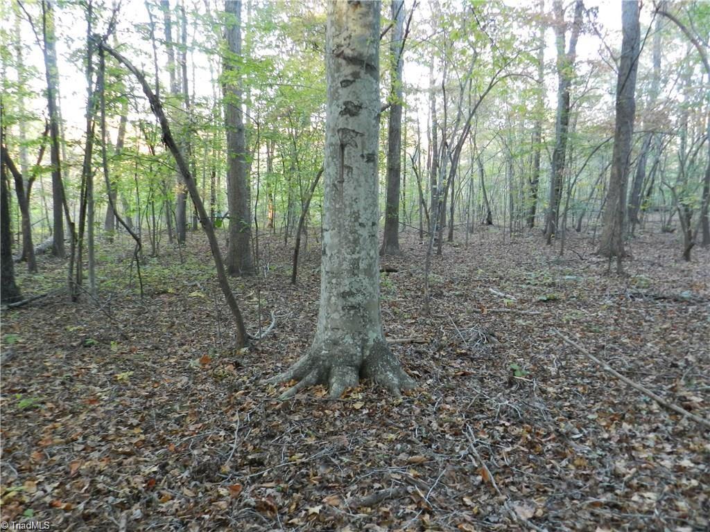 4064 Level Plains Road Sophia, NC 27350 - Photo 13 of 23 Gallery Image 13