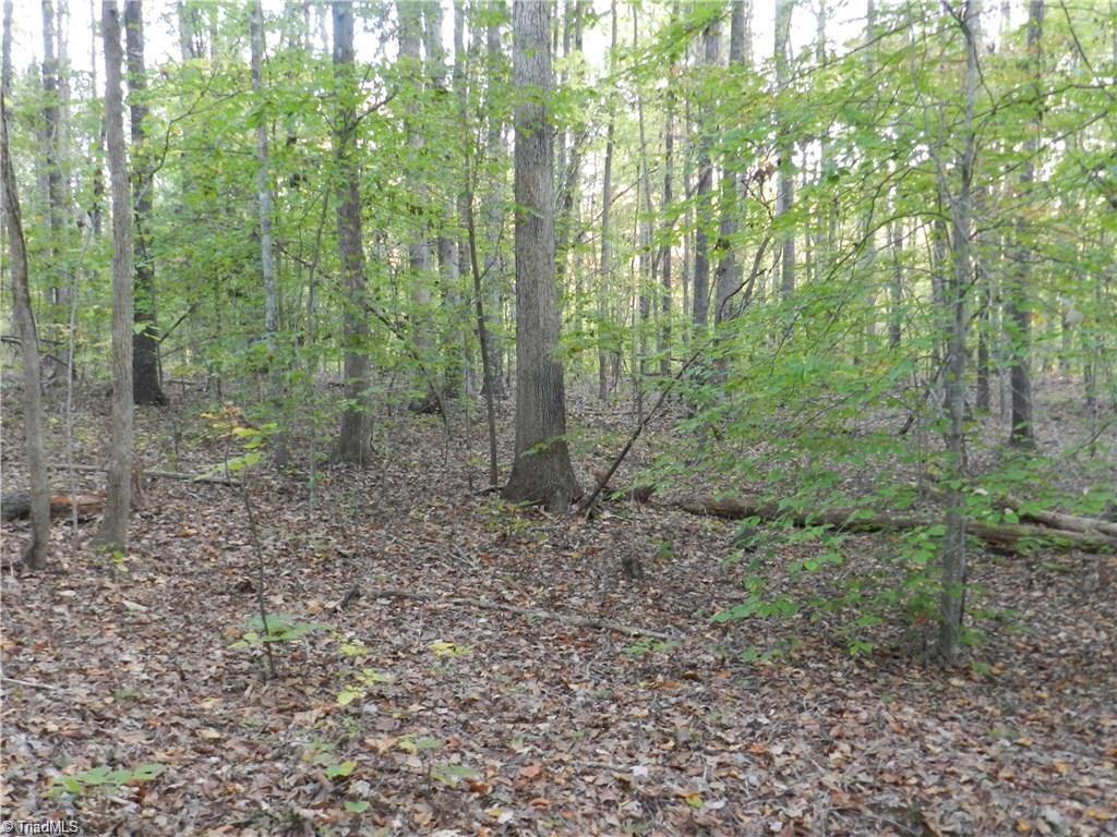 4064 Level Plains Road Sophia, NC 27350 - Photo 14 of 23 Gallery Image 14