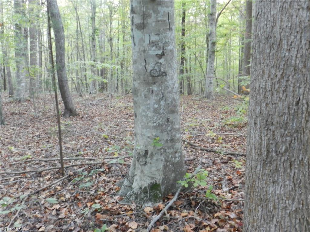4064 Level Plains Road Sophia, NC 27350 - Photo 15 of 23 Gallery Image 15