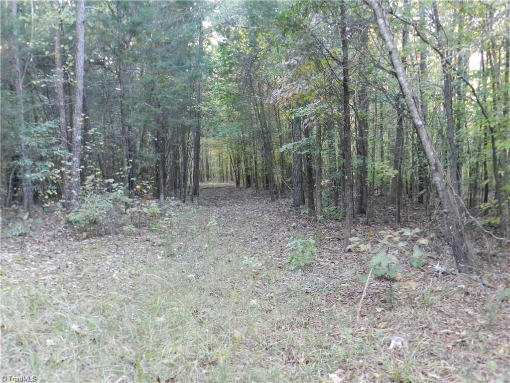 4064 Level Plains Road Sophia, NC 27350 - Photo 17 of 23 Gallery Image 17