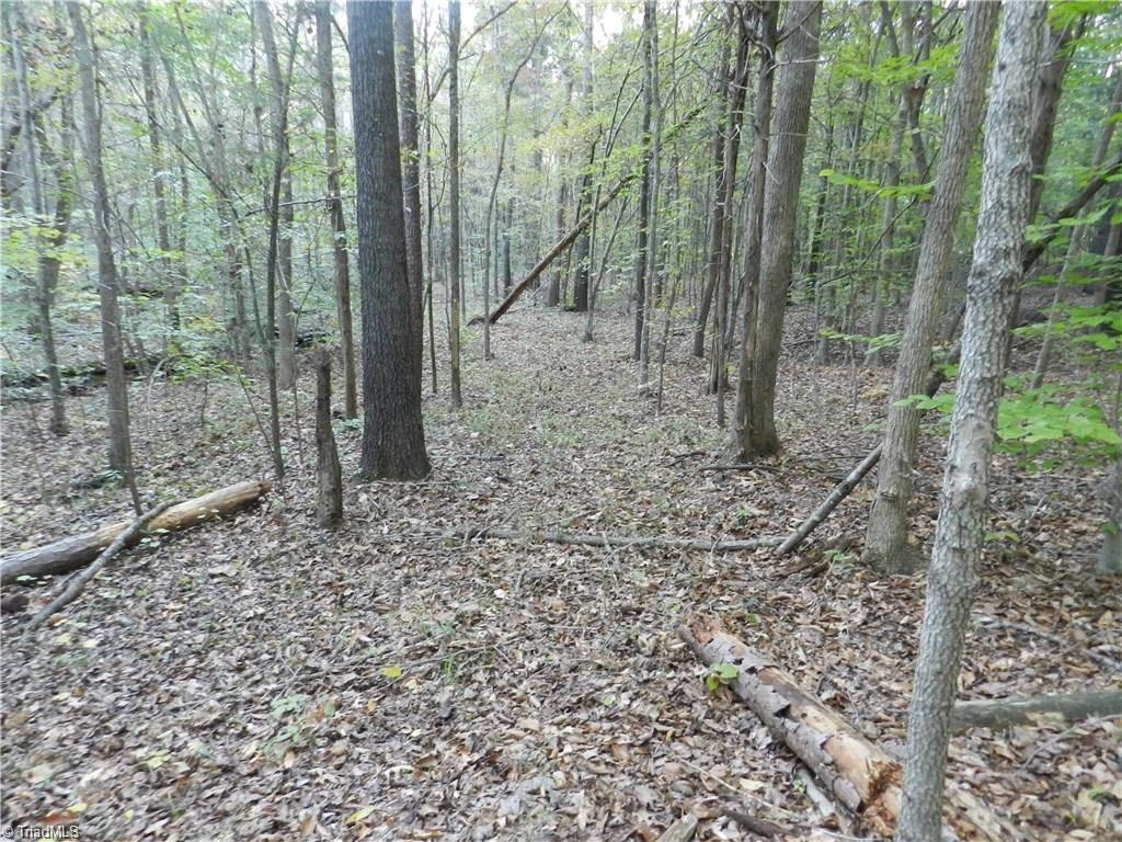 4064 Level Plains Road Sophia, NC 27350 - Photo 18 of 23 Gallery Image 18