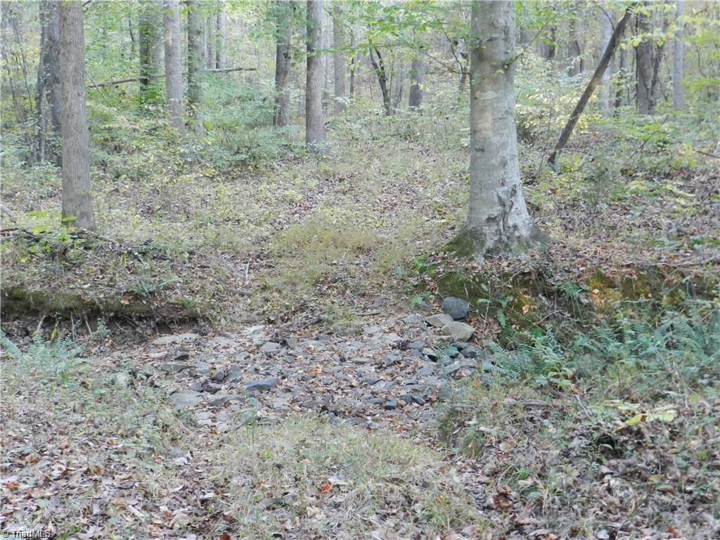 4064 Level Plains Road Sophia, NC 27350 - Photo 19 of 23 Gallery Image 19