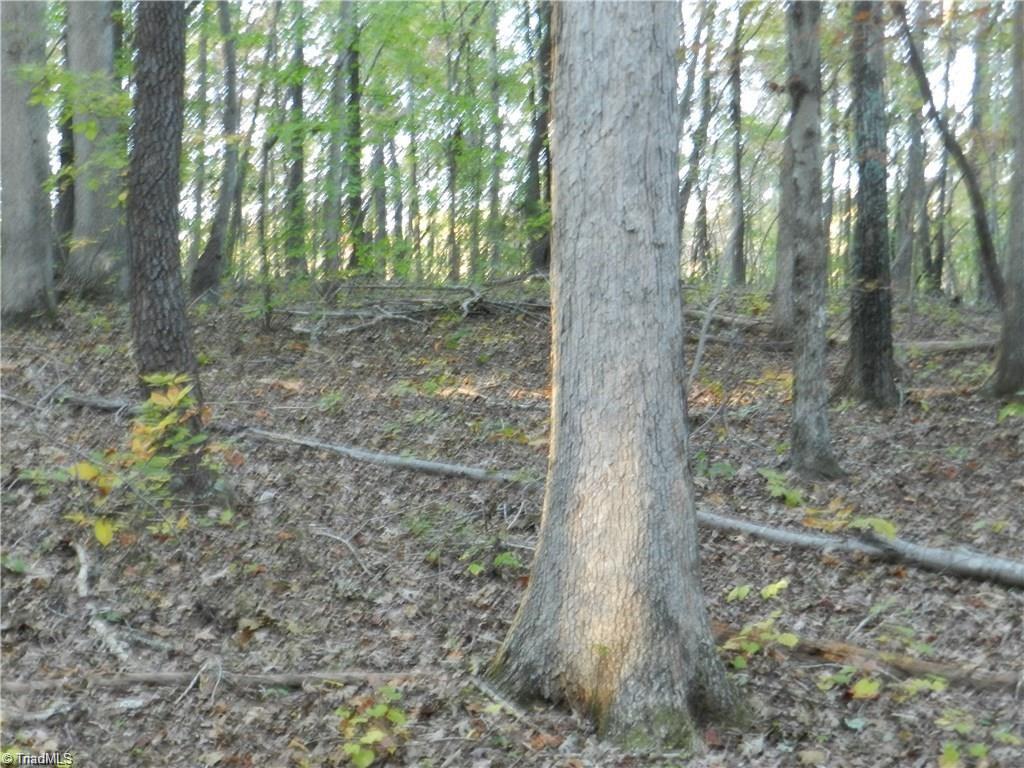 4064 Level Plains Road Sophia, NC 27350 - Photo 20 of 23 Gallery Image 20