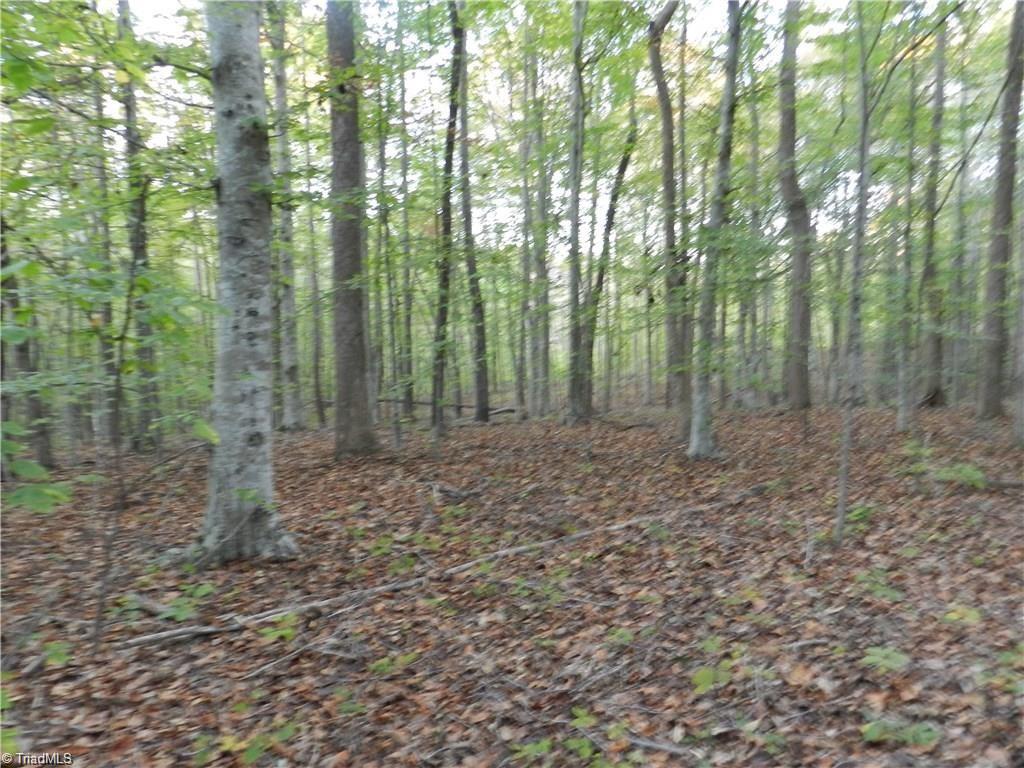 4064 Level Plains Road Sophia, NC 27350 - Photo 22 of 23 Gallery Image 22