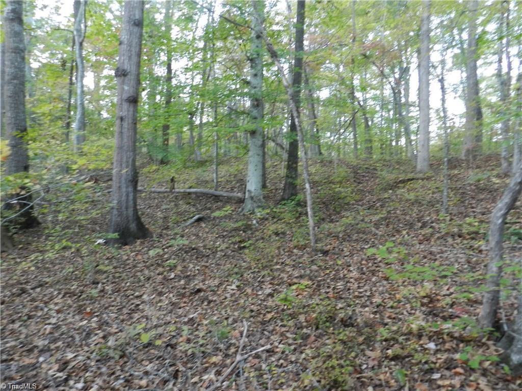 4064 Level Plains Road Sophia, NC 27350 - Photo 10 of 23 Gallery Image 10