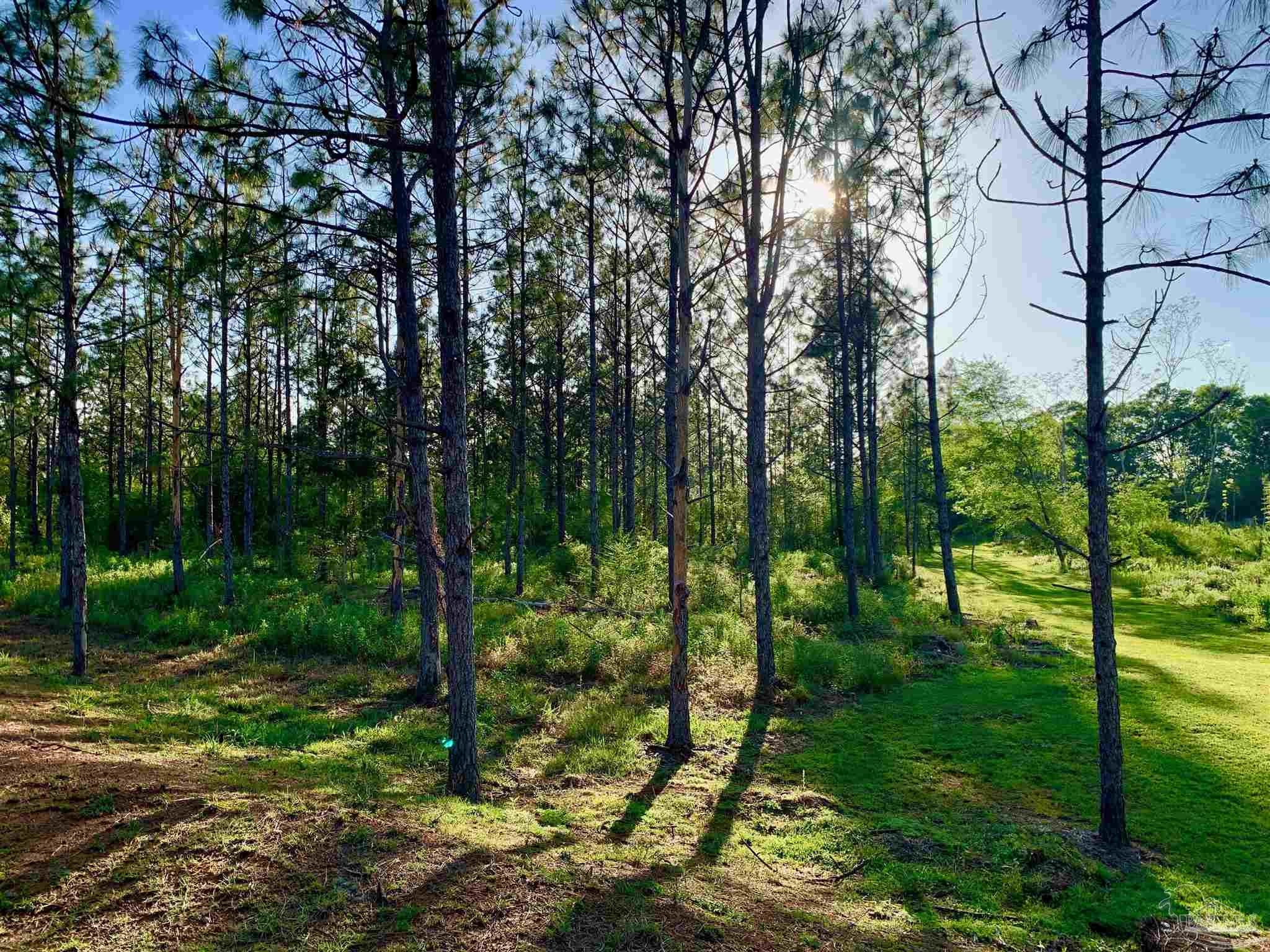 7031 Stucky Road Century, FL 32535 - Photo 43 of 50 Gallery Image 43