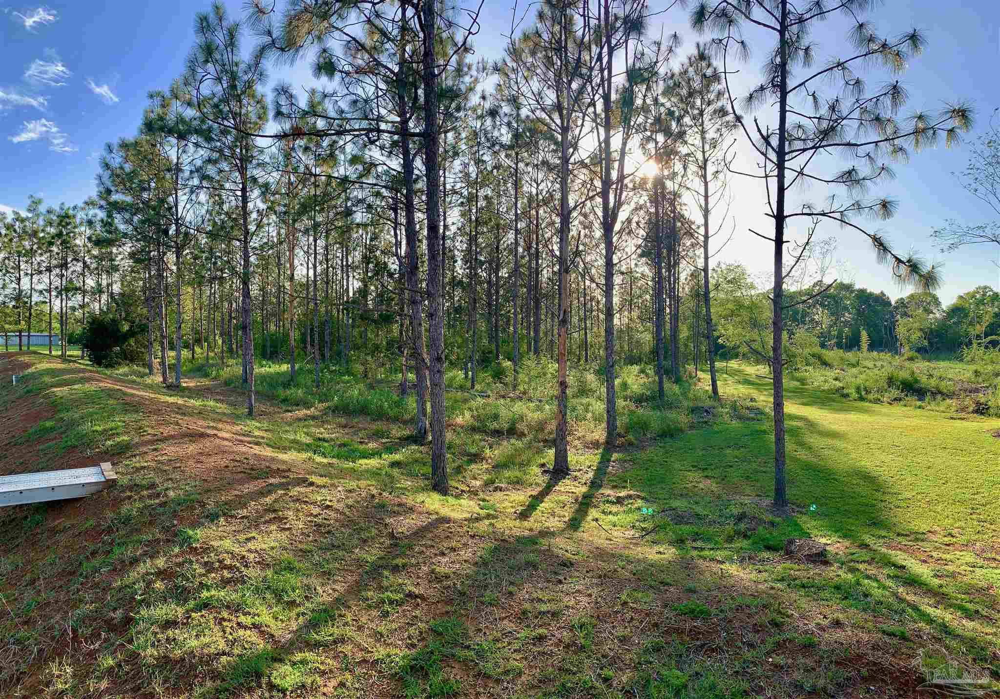 7031 Stucky Road Century, FL 32535 - Photo 44 of 50 Gallery Image 44