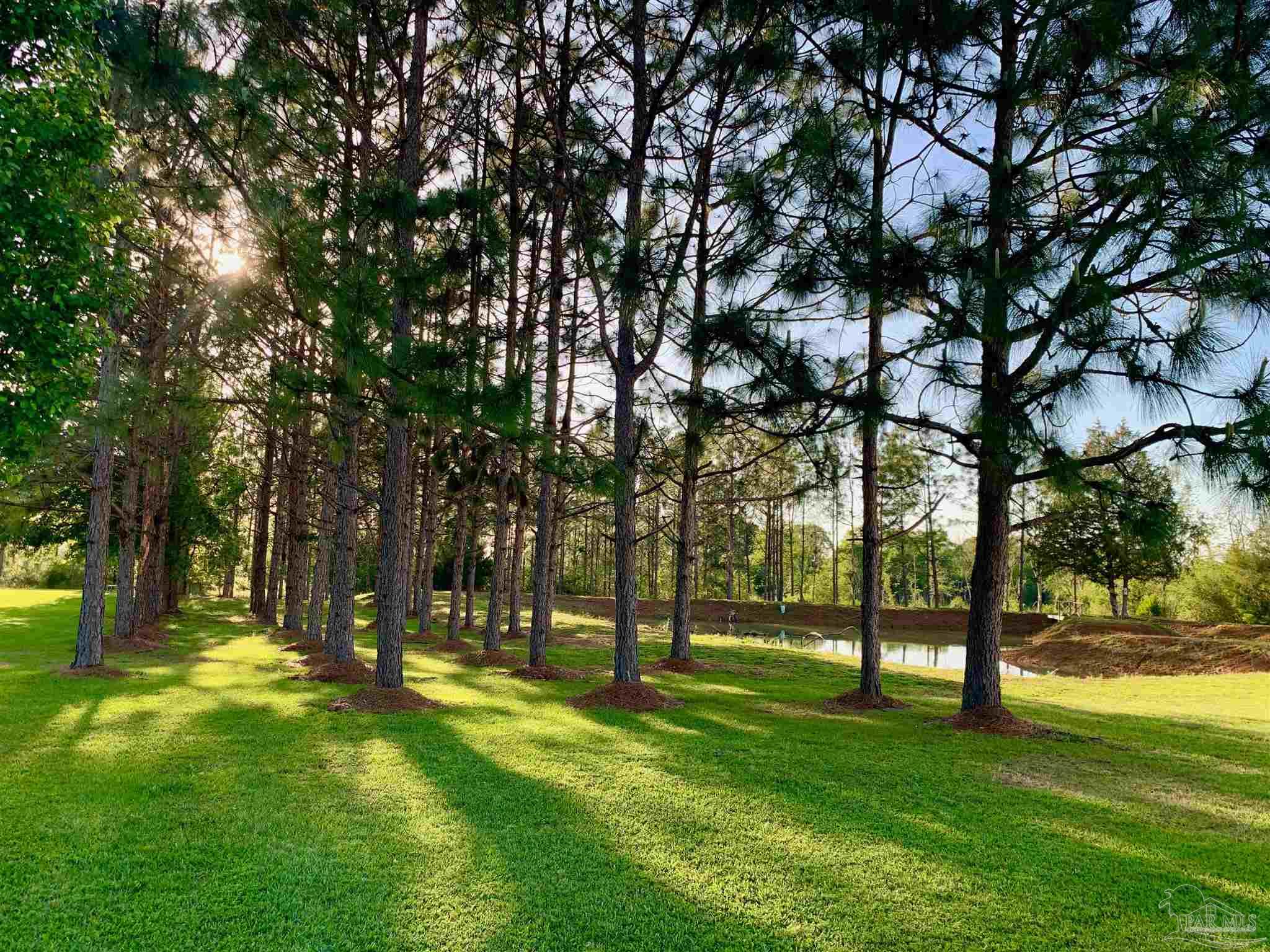 7031 Stucky Road Century, FL 32535 - Photo 46 of 50 Gallery Image 46