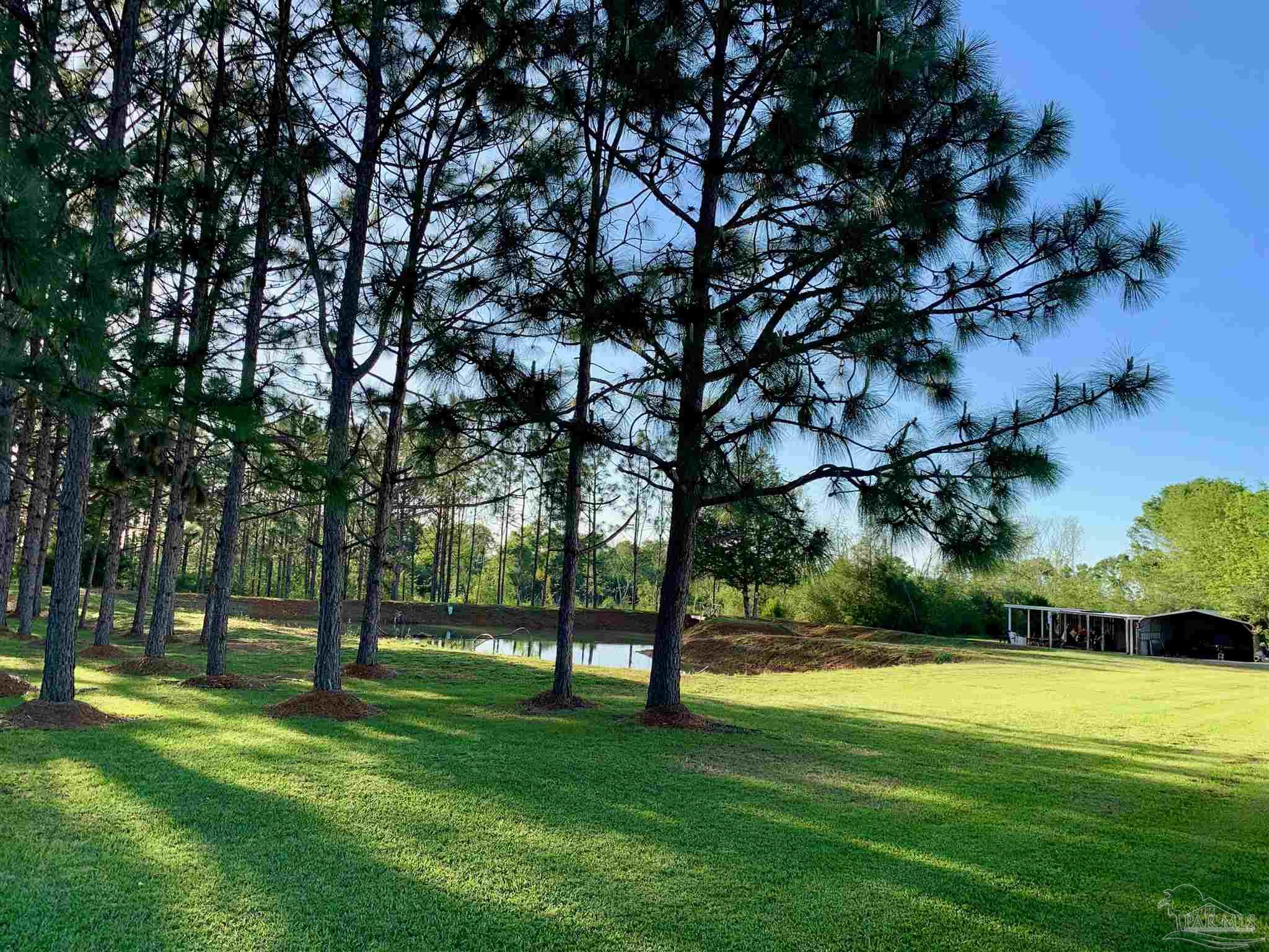 7031 Stucky Road Century, FL 32535 - Photo 47 of 50 Gallery Image 47