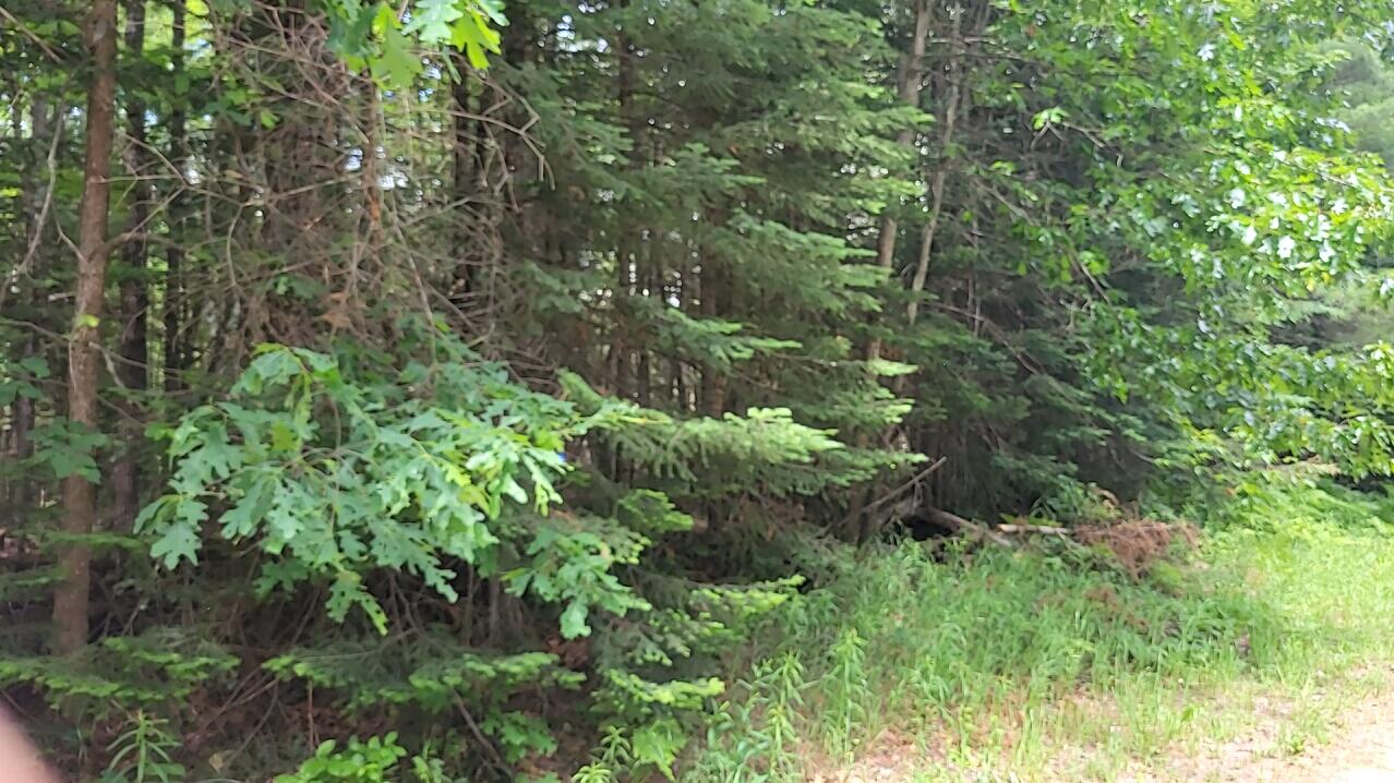 Lot 30 West Batterson Road Frederic, MI 49733 - Photo 6 of 7 Gallery Image 6