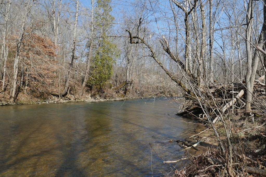 Tbd Rush Creek Road Glade Spring, VA 24340 - Photo 14 of 69 Gallery Image 14