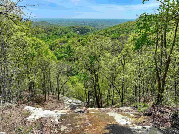 $1,575,000 | 11 Moss Falls Lane, Landrum, SC 29356