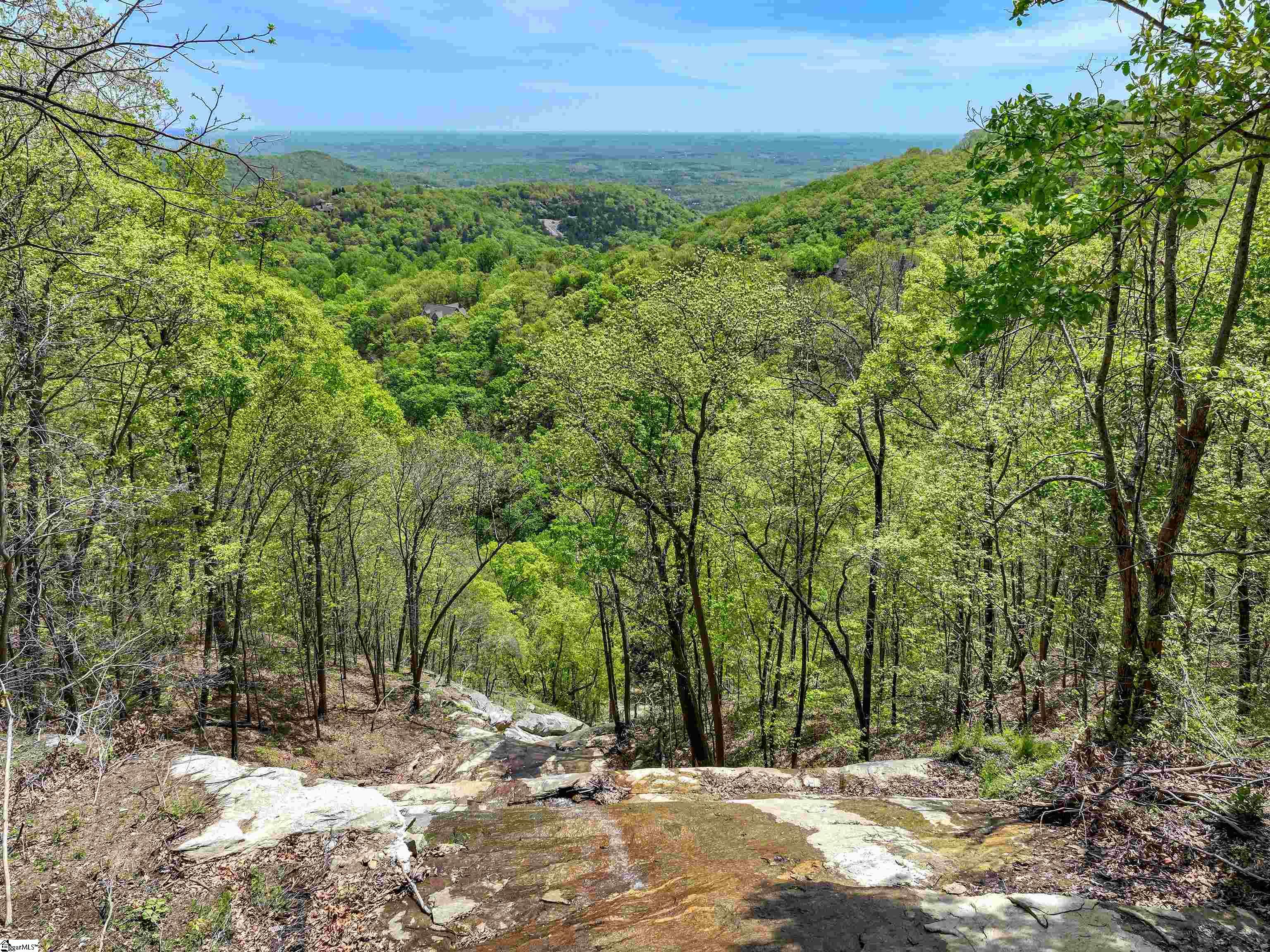 11 Moss Falls Lane Landrum, SC 29356 - Photo 45 of 50