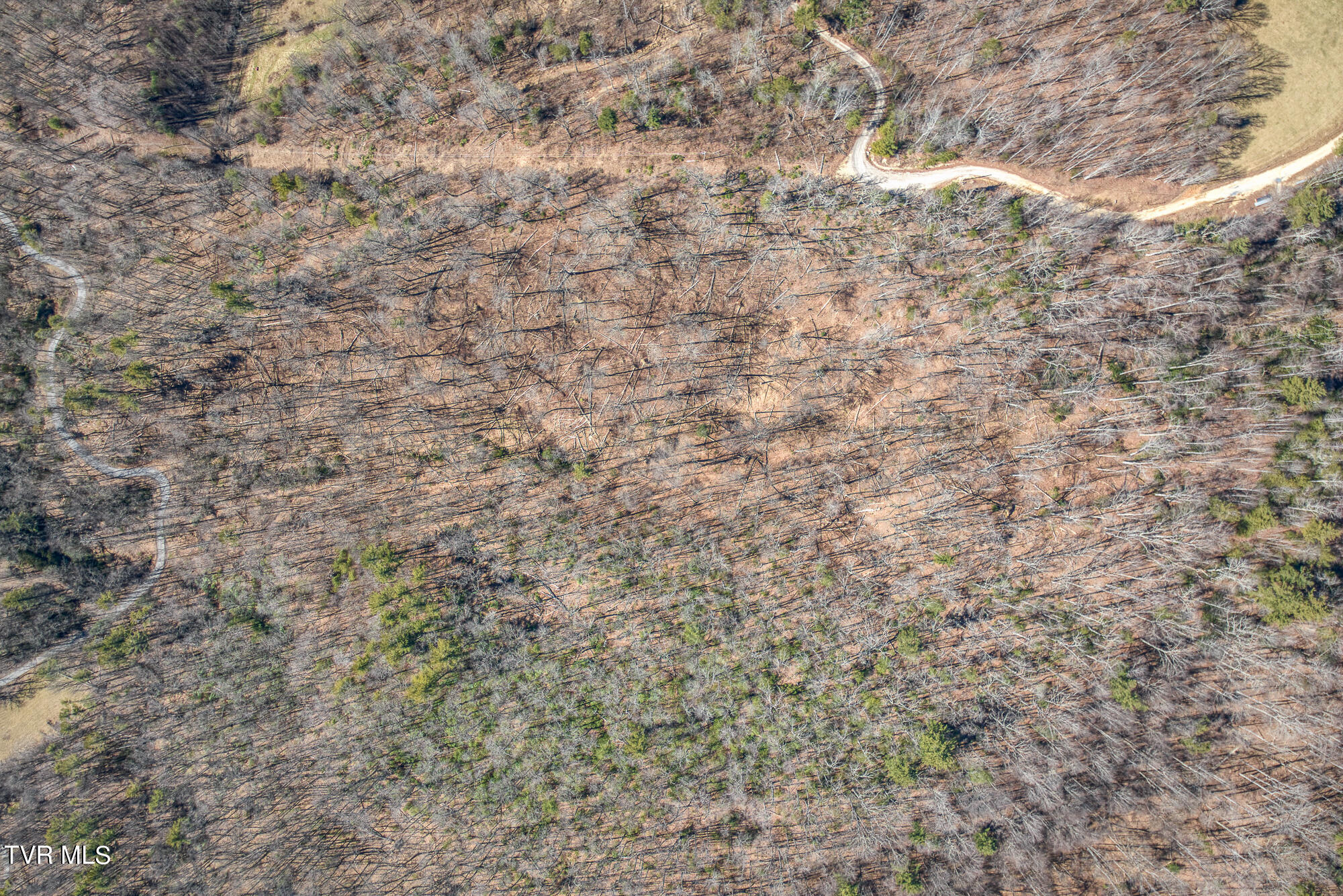 Tbd Heaton Branch Road Butler, TN 37640 - Photo 14 of 24 TBDHB_DJI_0737-15-18