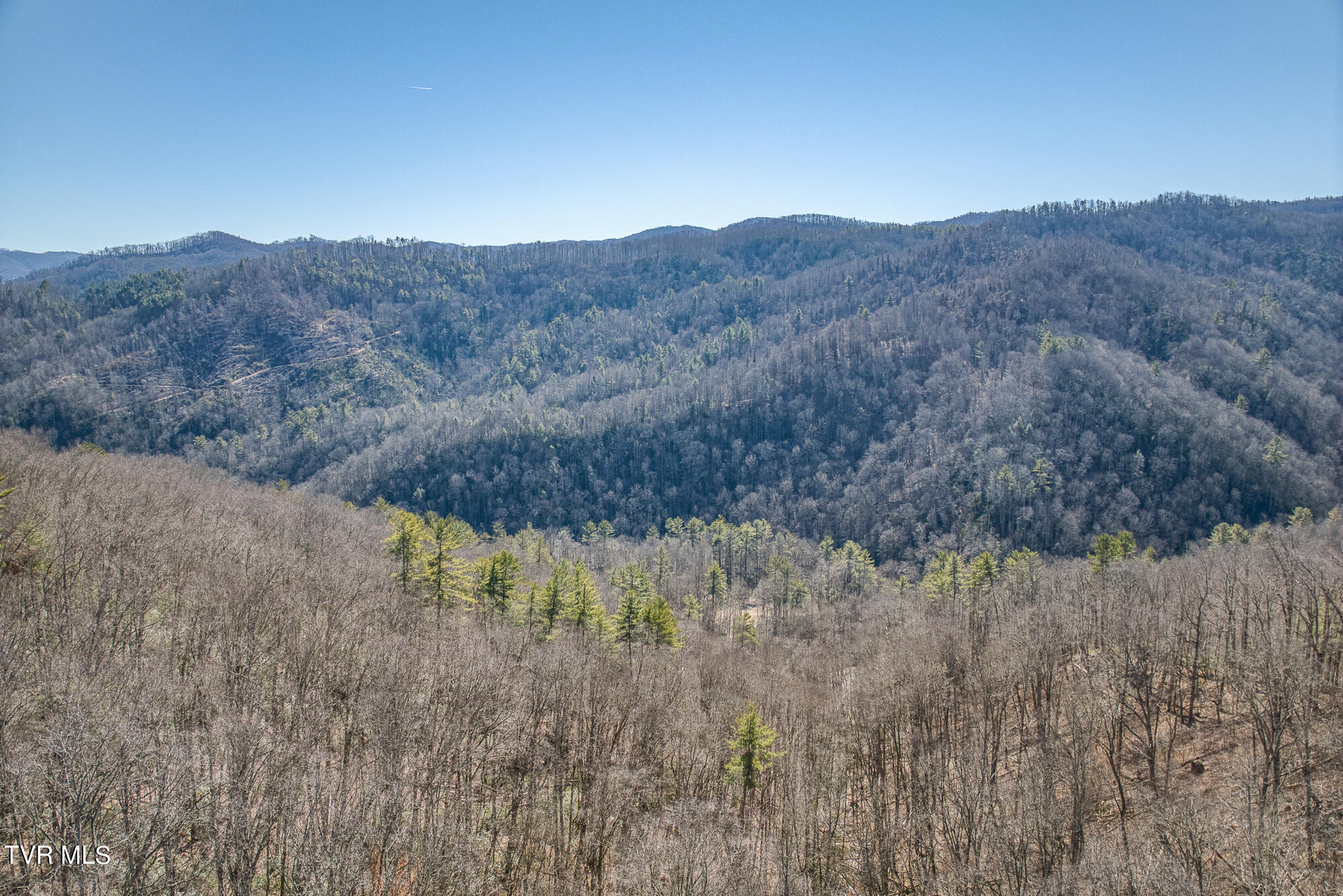 Tbd Heaton Branch Road Butler, TN 37640 - Photo 16 of 24 TBDHB_DJI_0772-17-20