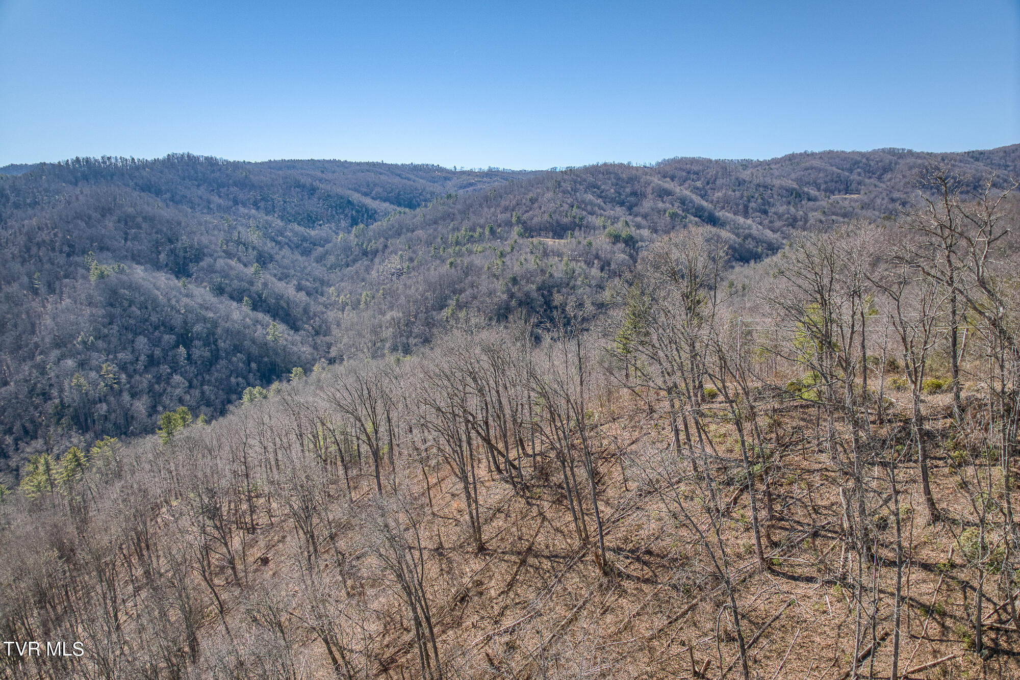 Tbd Heaton Branch Road Butler, TN 37640 - Photo 17 of 24 TBDHB_DJI_0780-18-21