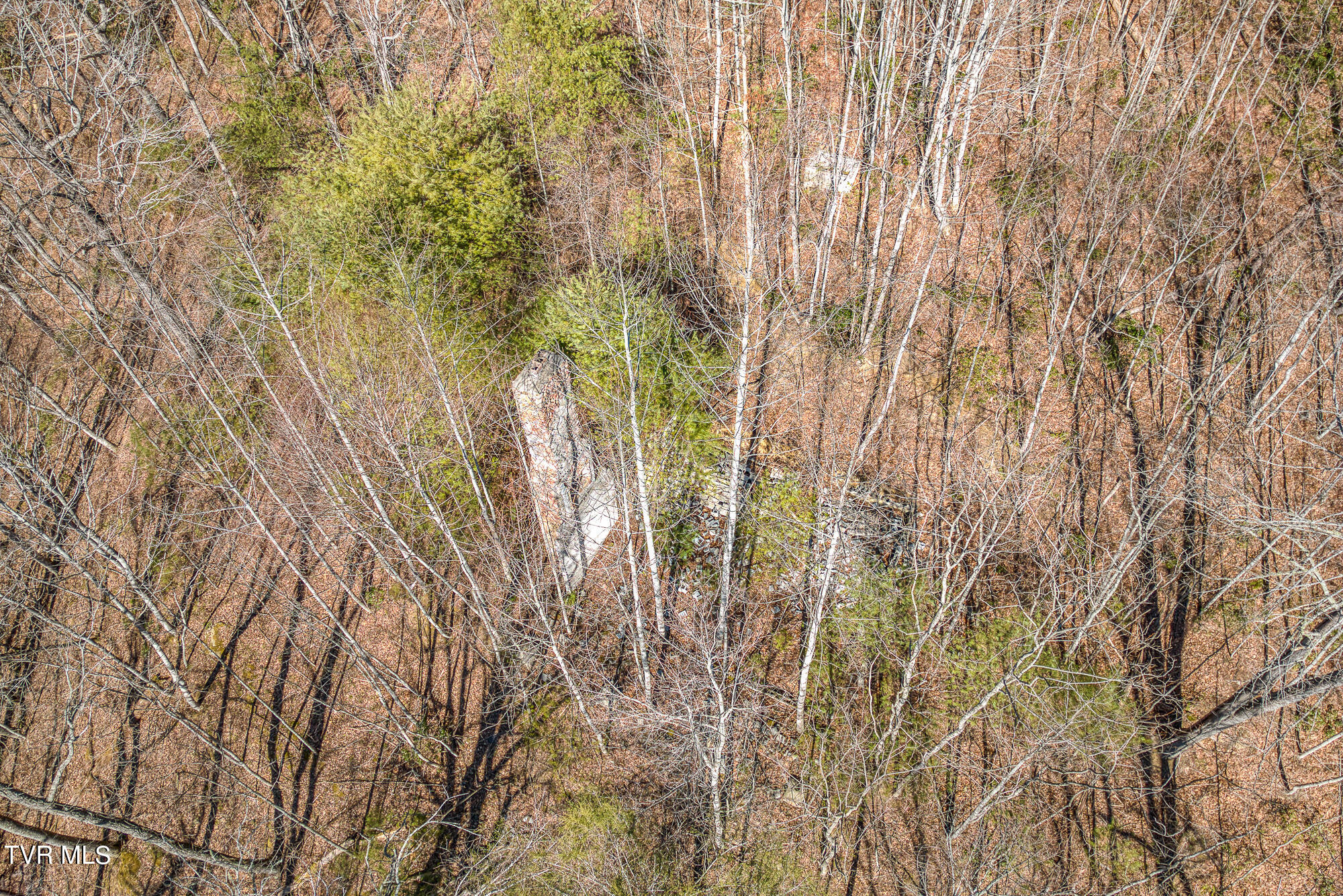 Tbd Heaton Branch Road Butler, TN 37640 - Photo 18 of 24 TBDHB_DJI_0797-19-22