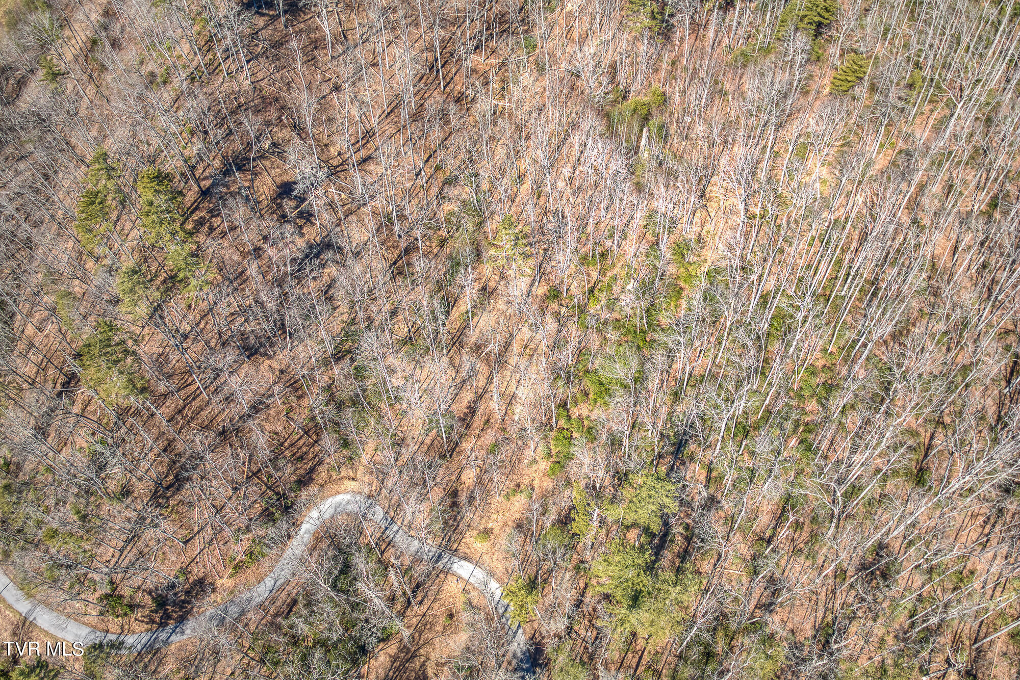 Tbd Heaton Branch Road Butler, TN 37640 - Photo 19 of 24 TBDHB_DJI_0802-20-24