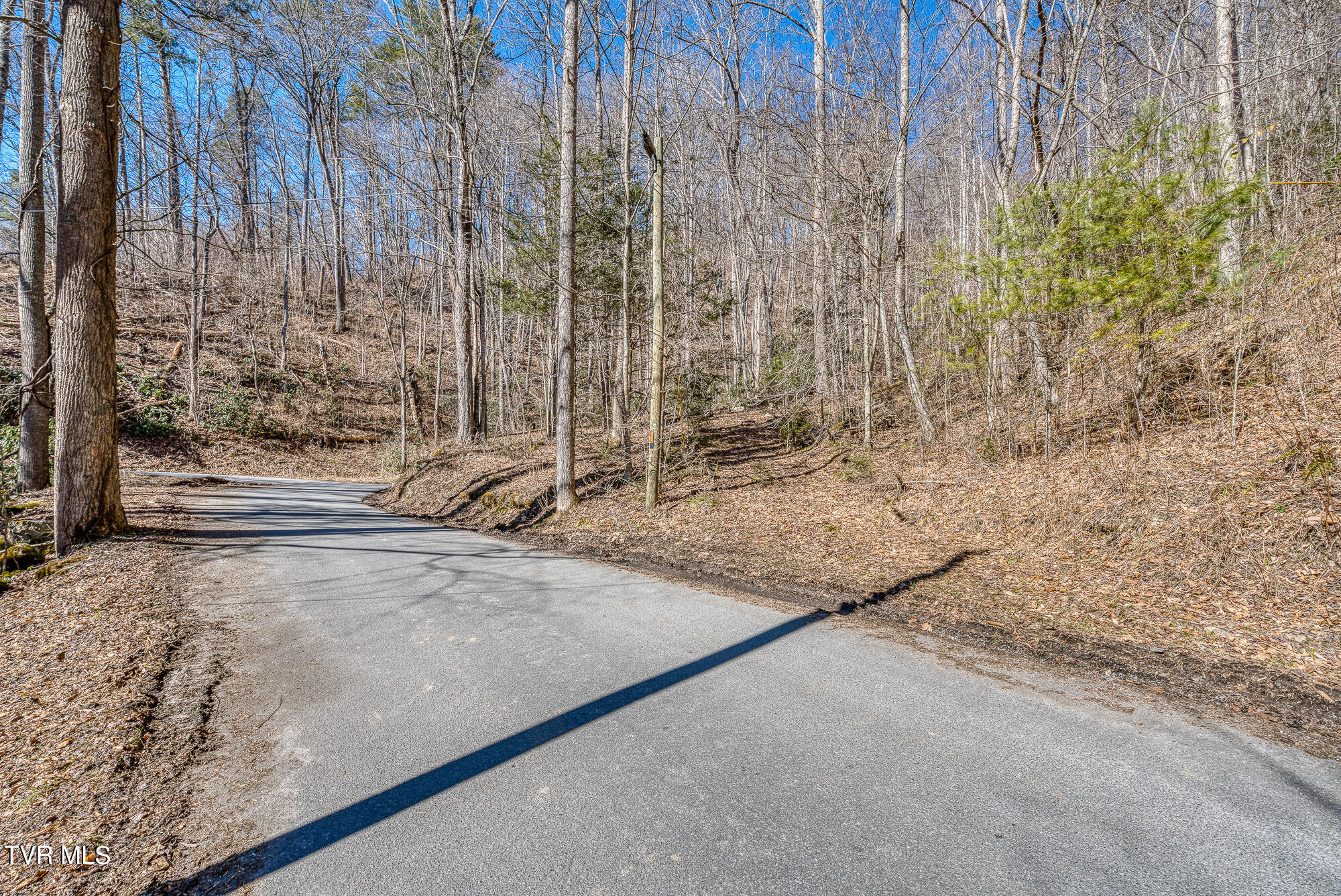 Tbd Heaton Branch Road Butler, TN 37640 - Photo 20 of 24 TBDHB_DSC03921-1-1