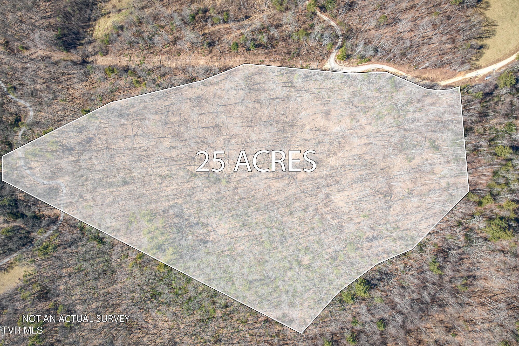 Tbd Heaton Branch Road Butler, TN 37640 - Photo 2 of 24 overlay_2-17