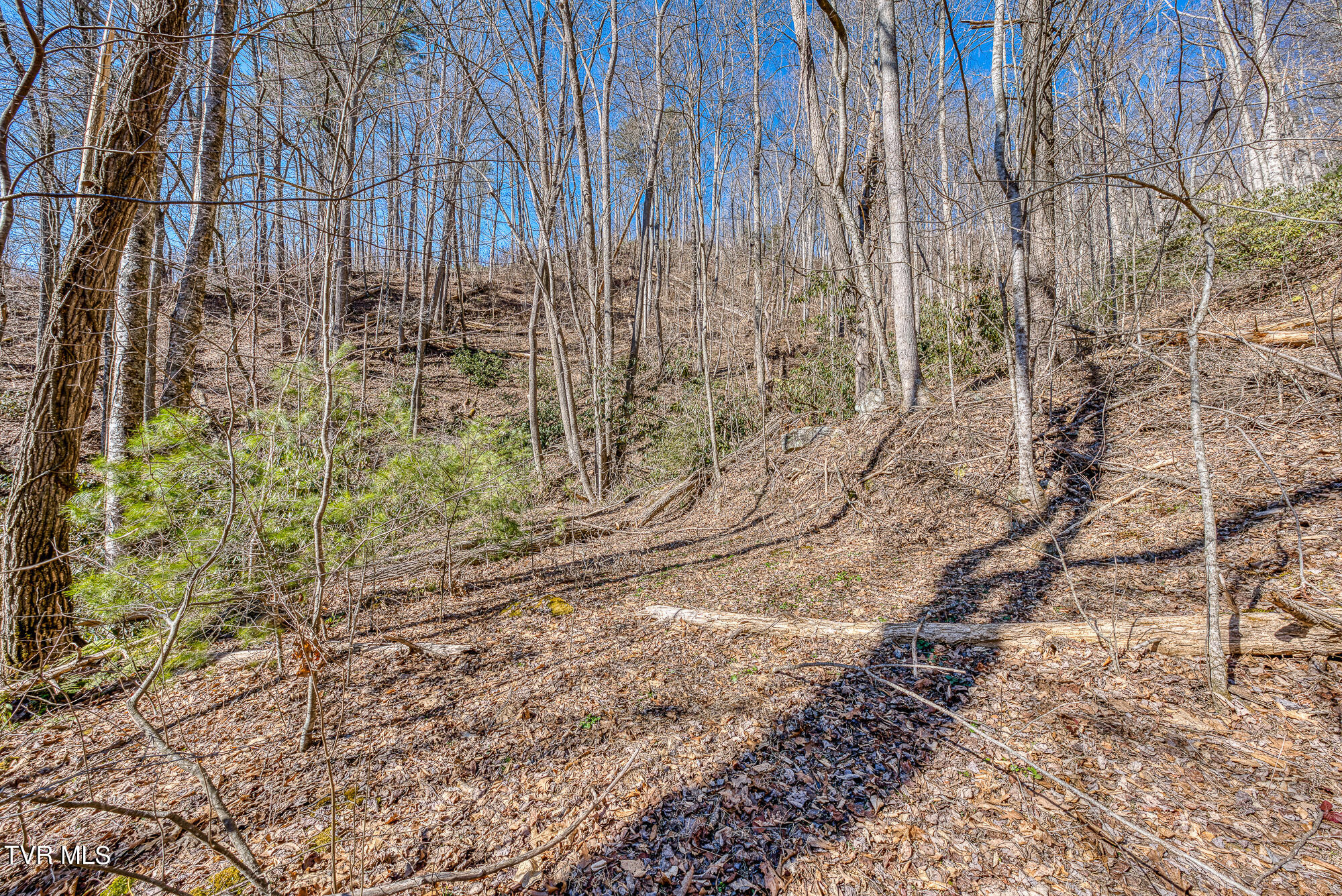 Tbd Heaton Branch Road Butler, TN 37640 - Photo 21 of 24 TBDHB_DSC03924-2-2