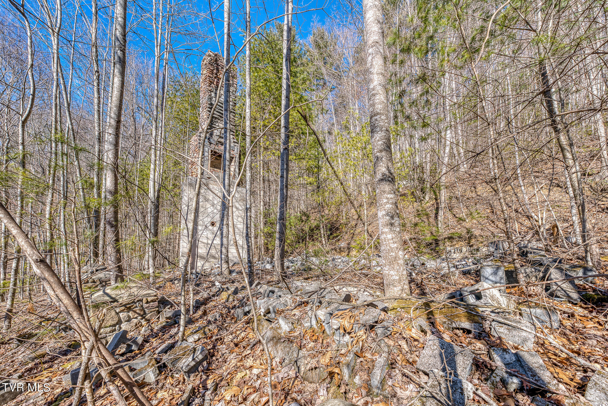 Tbd Heaton Branch Road Butler, TN 37640 - Photo 22 of 24 TBDHB_DSC03930-3-3