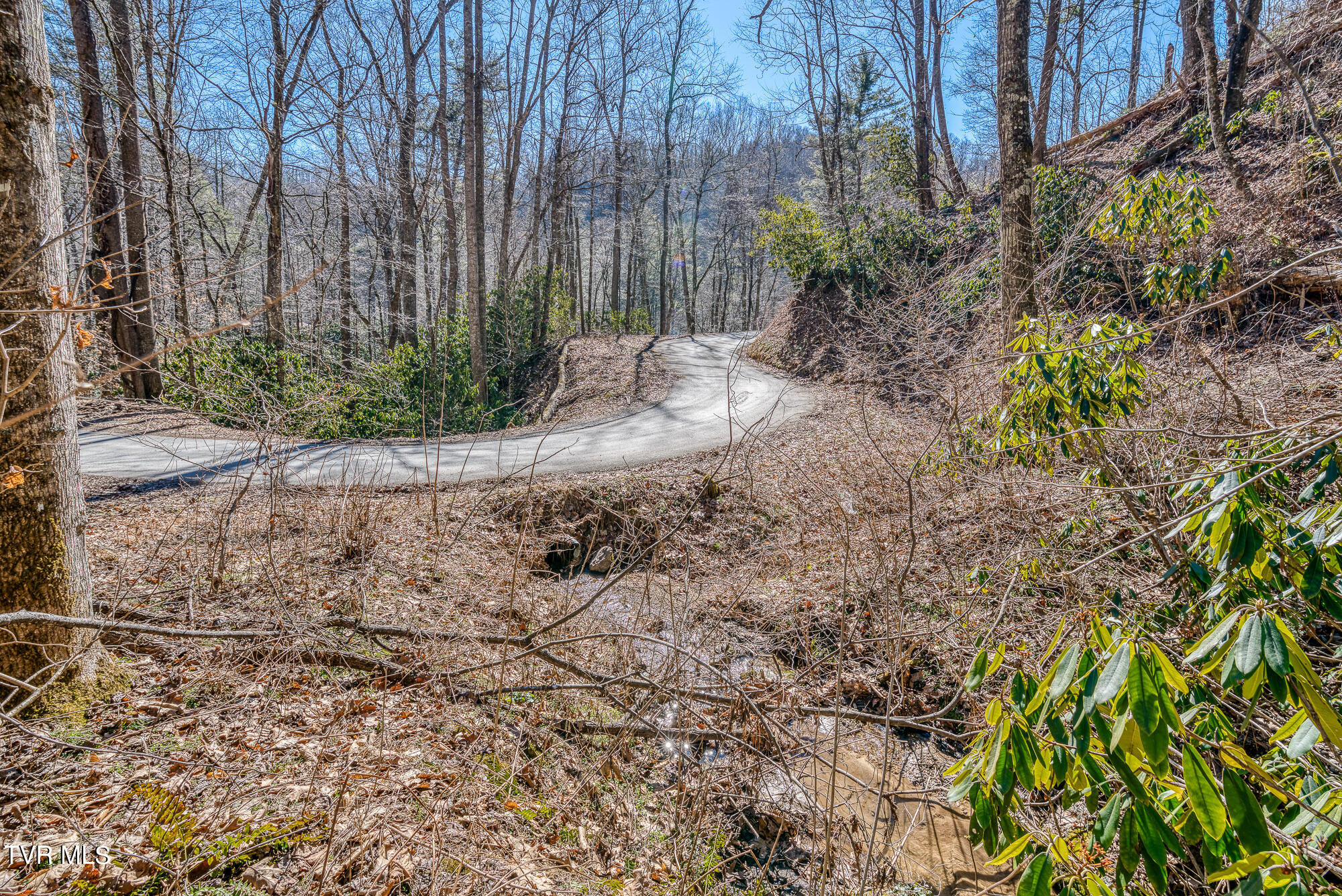 Tbd Heaton Branch Road Butler, TN 37640 - Photo 24 of 24 TBDHB_DSC03945-5-5