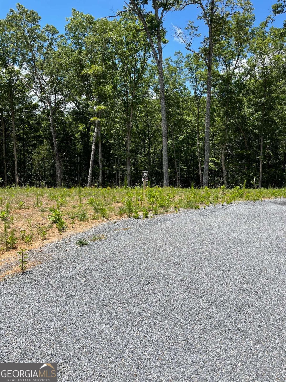 Lot 95 The Ridges Morganton, GA 30560 - Photo 11 of 17 a view of a backyard with a trees