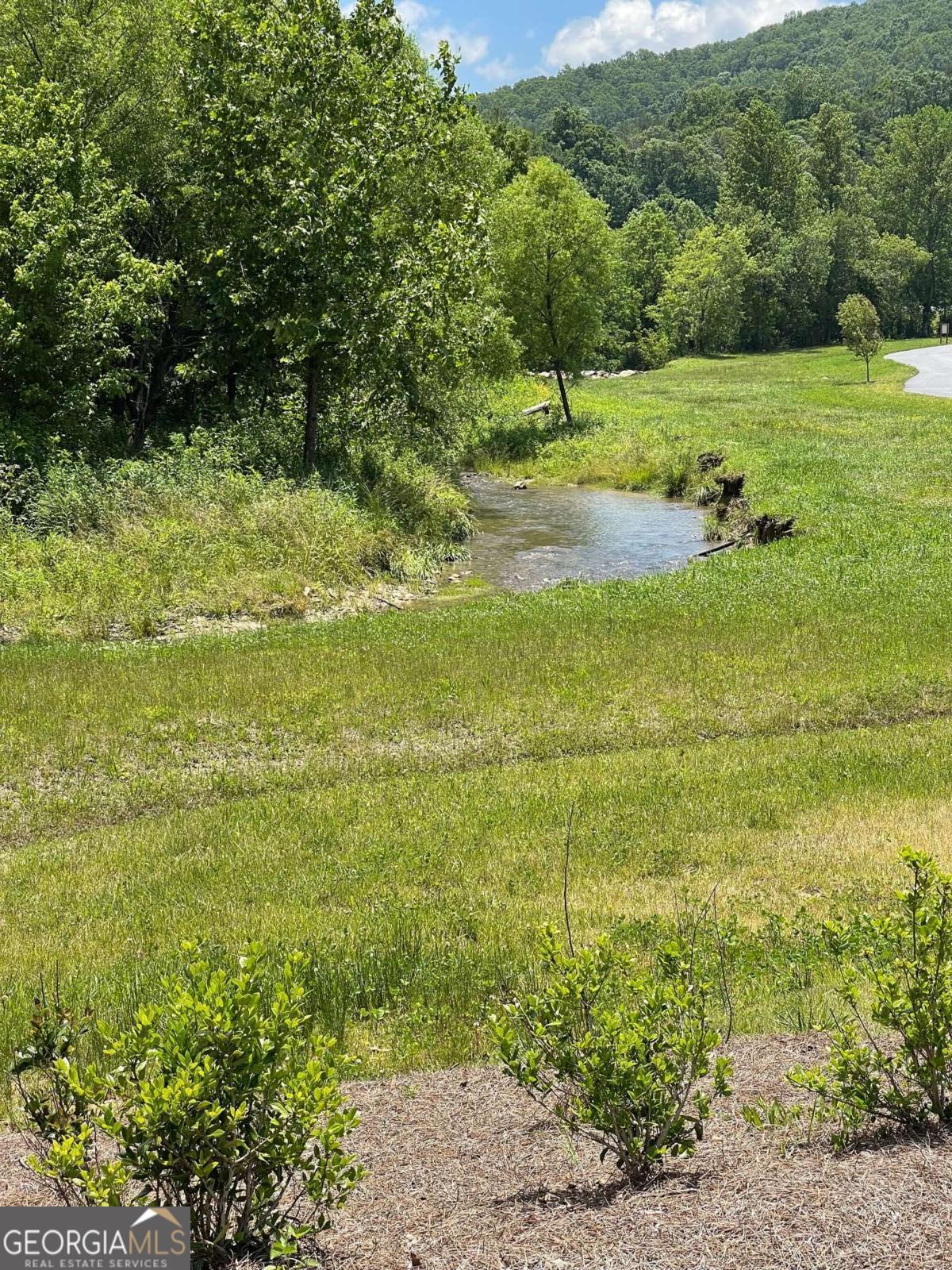 Lot 95 The Ridges Morganton, GA 30560 - Photo 13 of 17 a view of a field with an trees