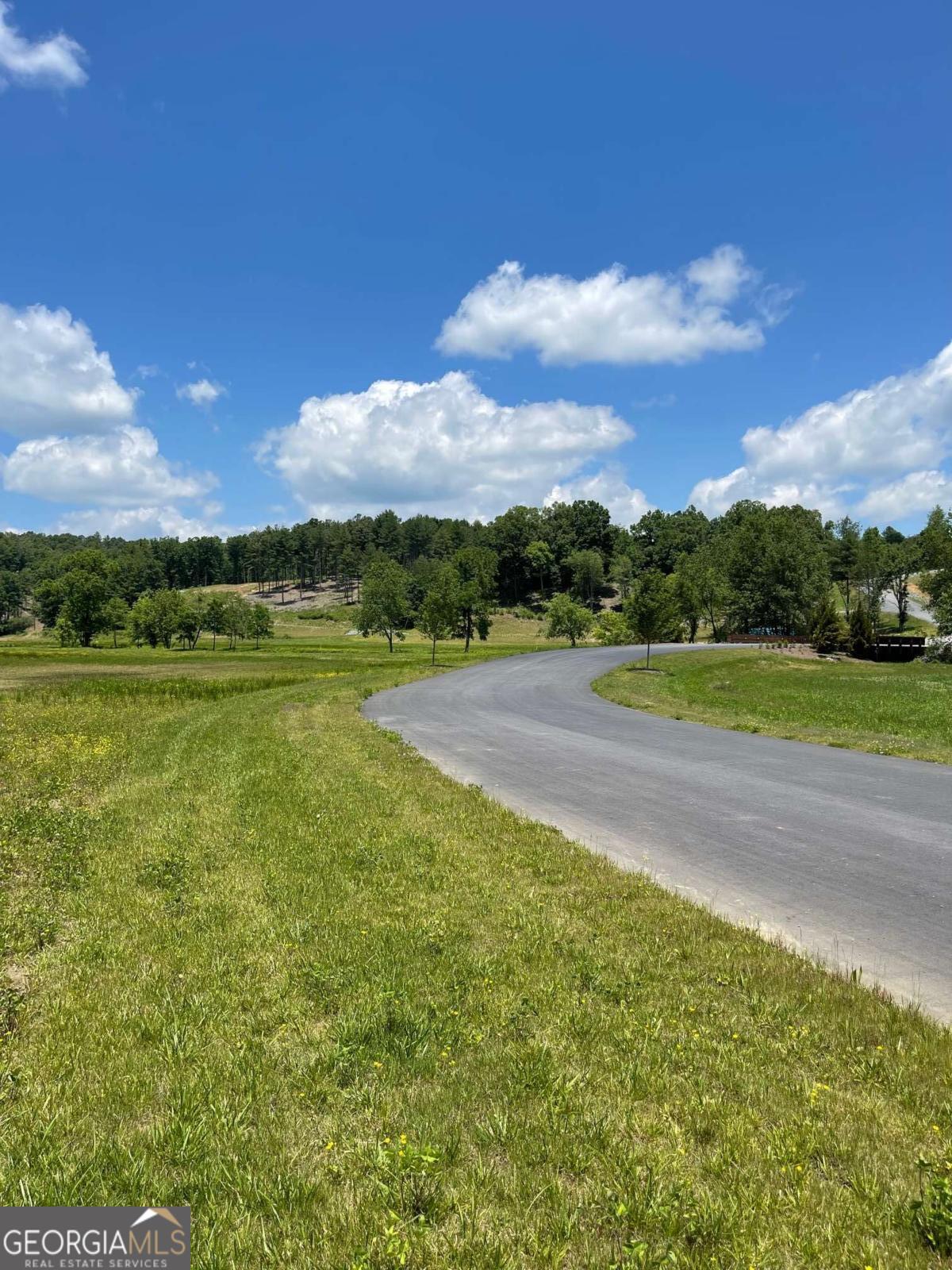 Lot 95 The Ridges Morganton, GA 30560 - Photo 15 of 17 a view of a golf course with a lake