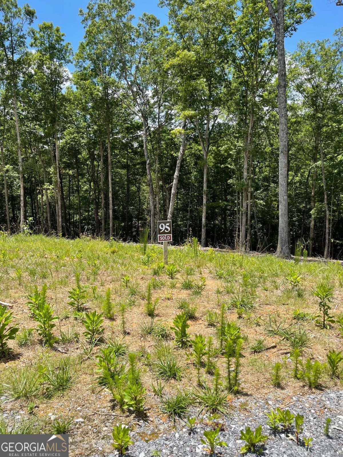 Lot 95 The Ridges Morganton, GA 30560 - Photo 3 of 17 a house view with a outdoor space