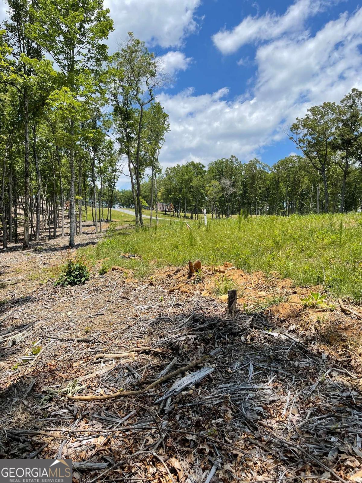 Lot 95 The Ridges Morganton, GA 30560 - Photo 5 of 17 a view of a park
