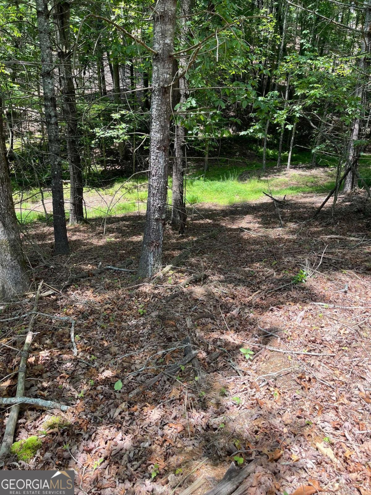 Lot 95 The Ridges Morganton, GA 30560 - Photo 7 of 17 a view of a tree in the middle of a yard