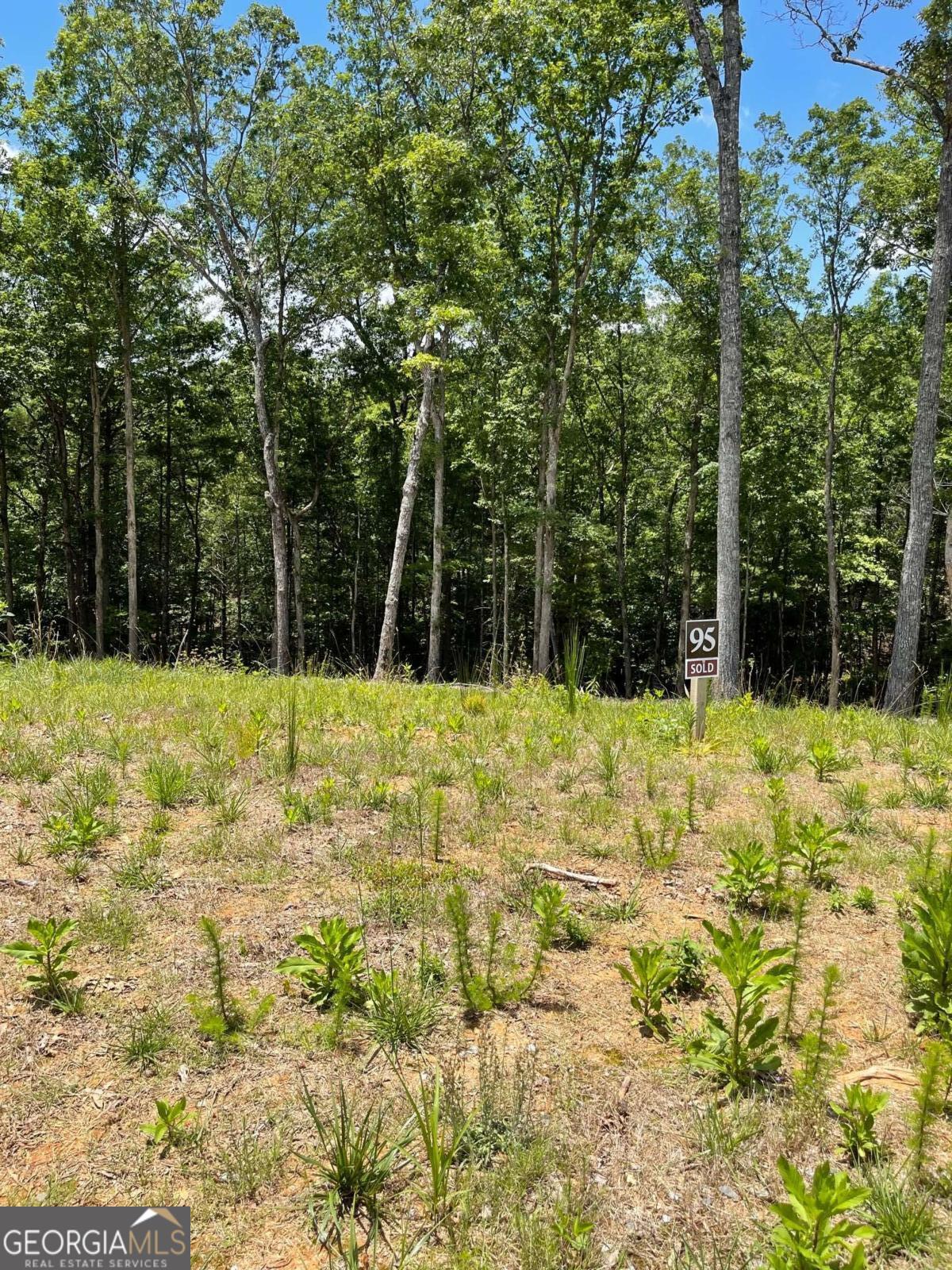 Lot 95 The Ridges Morganton, GA 30560 - Photo 9 of 17