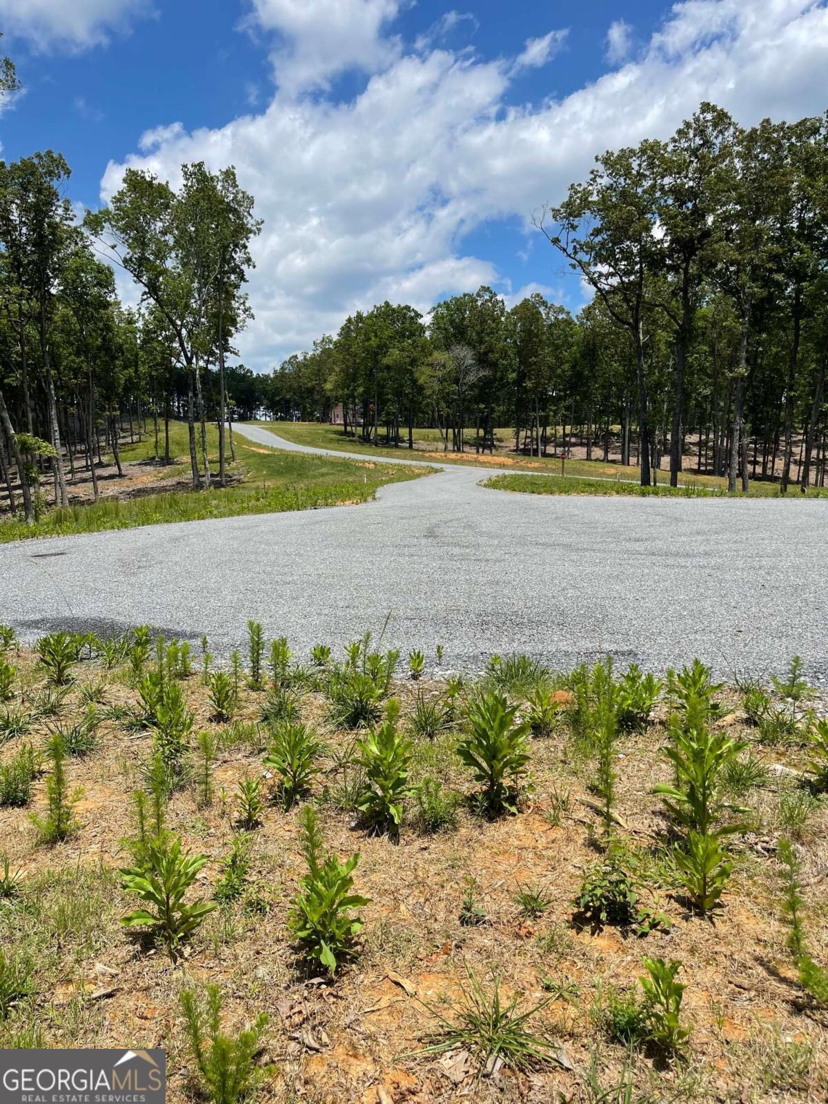 Lot 95 The Ridges Morganton, GA 30560 - Photo 10 of 17 a view of a swimming pool with a yard