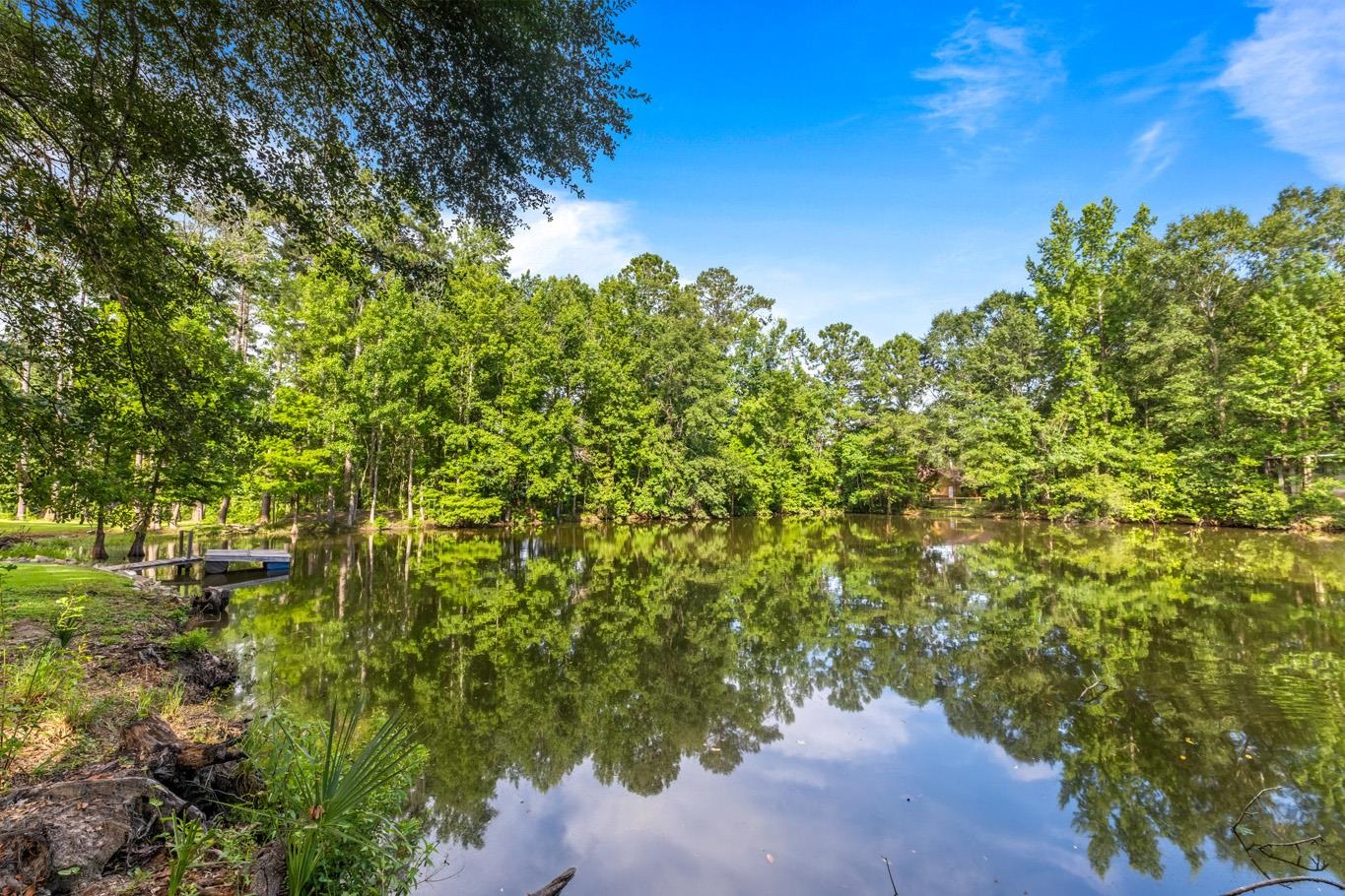 166 Sierra Road Havana, FL 32333 - Photo 50 of 67