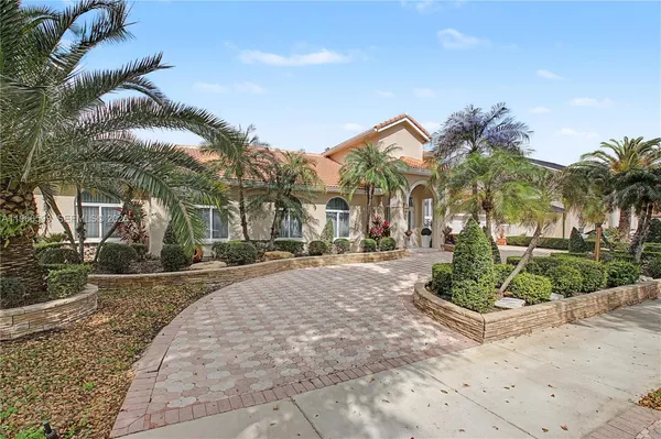 a row of palm trees in front of house
