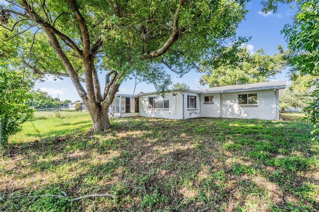 10810 Leeds Road Port Richey, FL 34668 - Photo 8 of 29 Huge backyard!