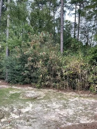 $95,000 | 5 Raintree Court, Pinehurst, NC 28374