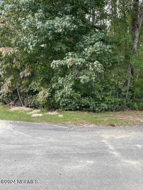 5 Raintree Court Pinehurst, NC 28374 - Photo 4 of 4 Street View