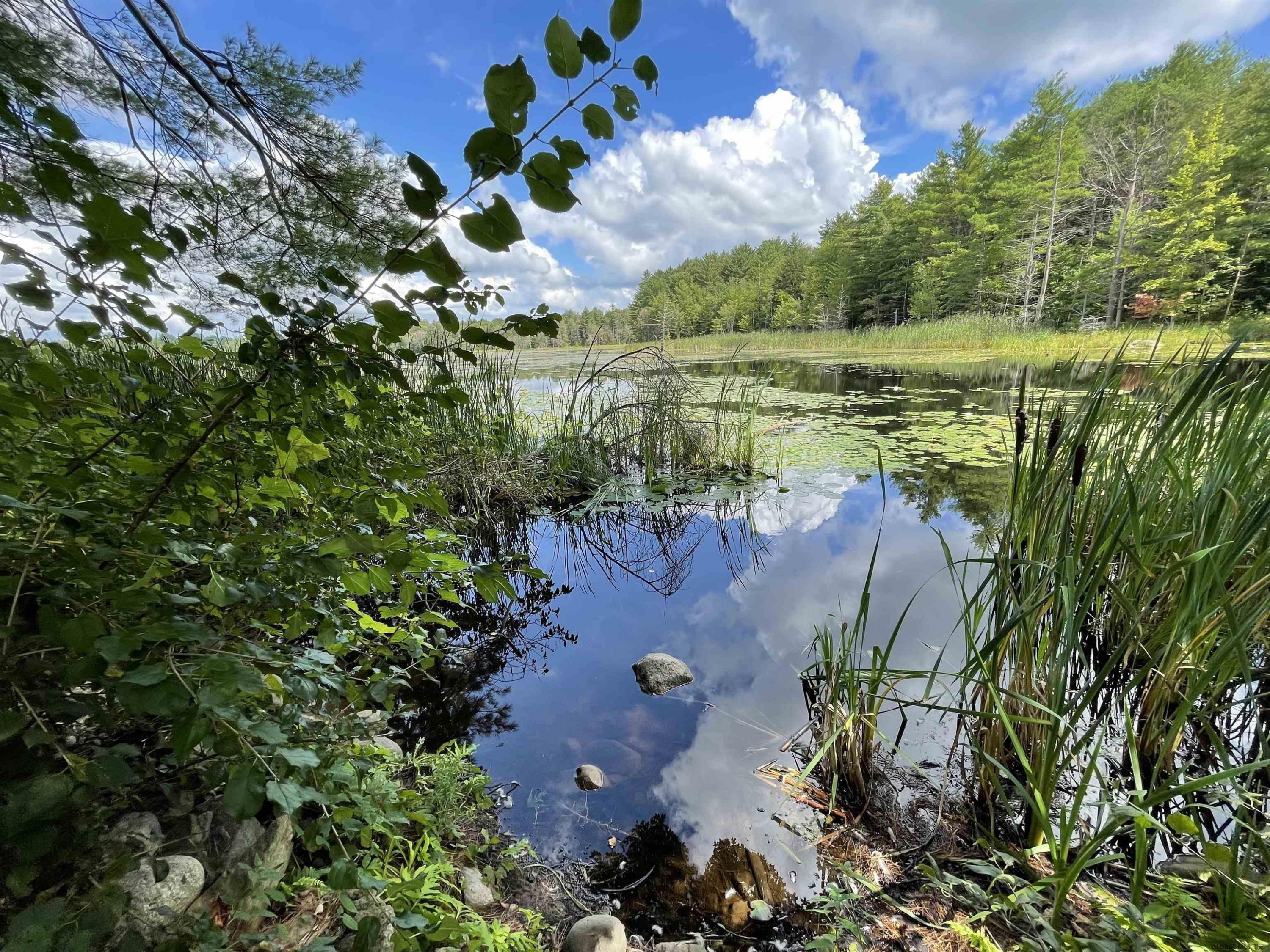 0 Angel Road Corinth, NY 12822 - Photo 1 of 11 Photo 1