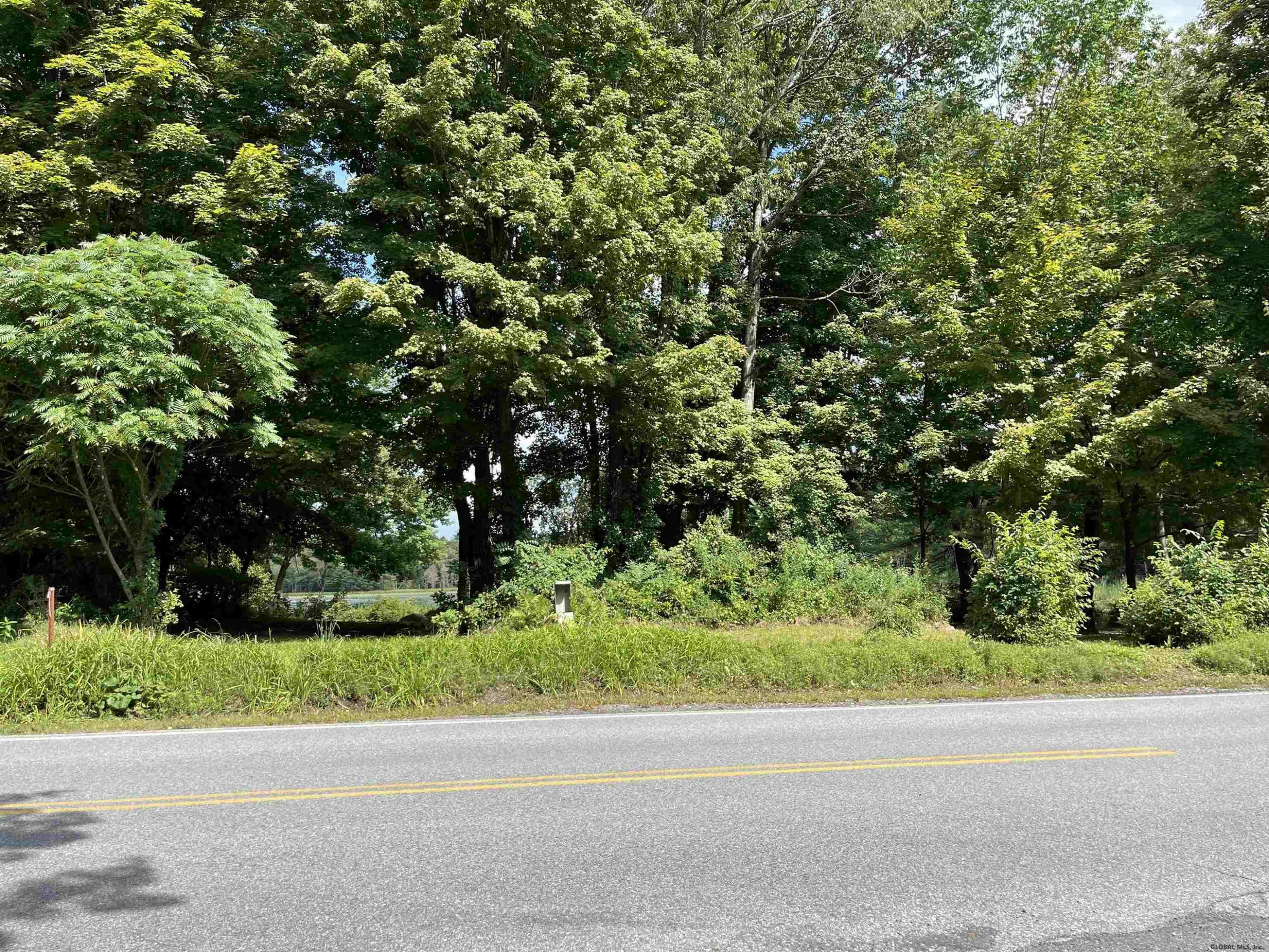 0 Angel Road Corinth, NY 12822 - Photo 5 of 11 Photo 5