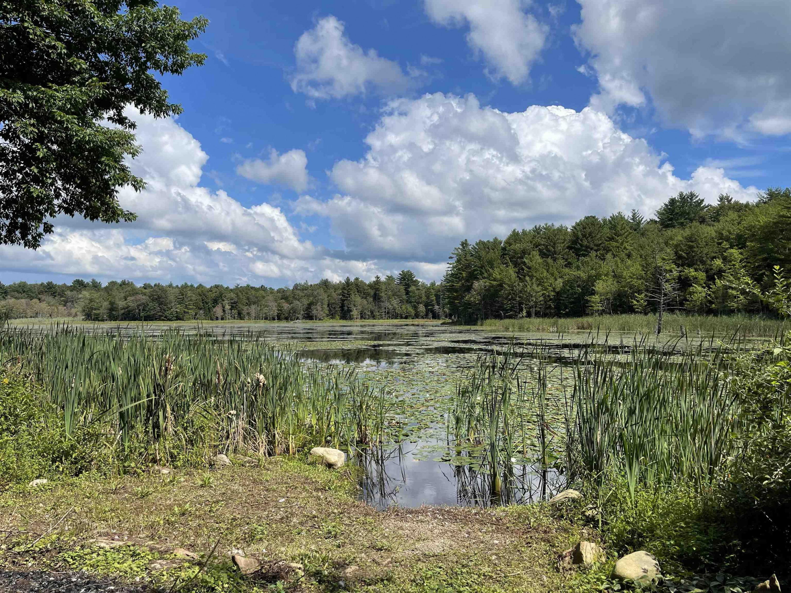 0 Angel Road Corinth, NY 12822 - Photo 7 of 11 Photo 8