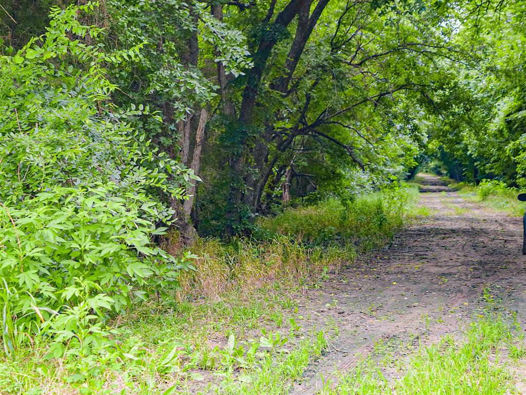 3280 Ws Rail Road Franklin, TX 77856 - Photo 7 of 10